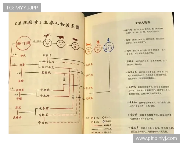 生死停留豆瓣影评深度解析与人物命运走向分析