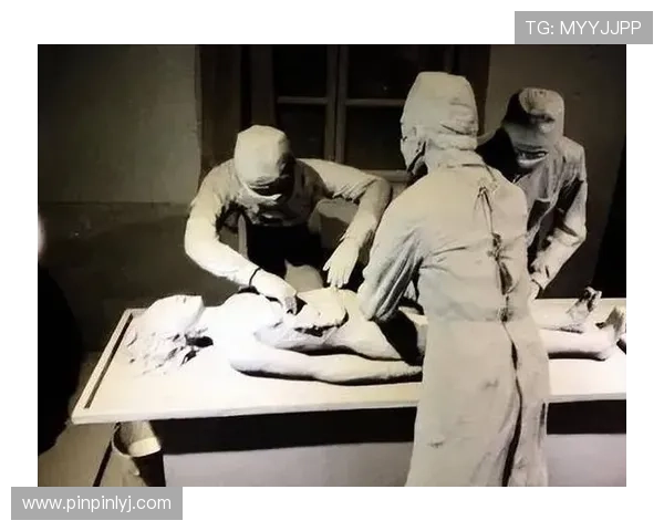 档案解密全集2012：窥探历史深处的震撼真相